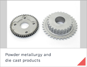 Powder metallurgy and die cast products